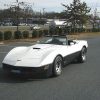 Platinum Silver Spectre Pearl - Image 6